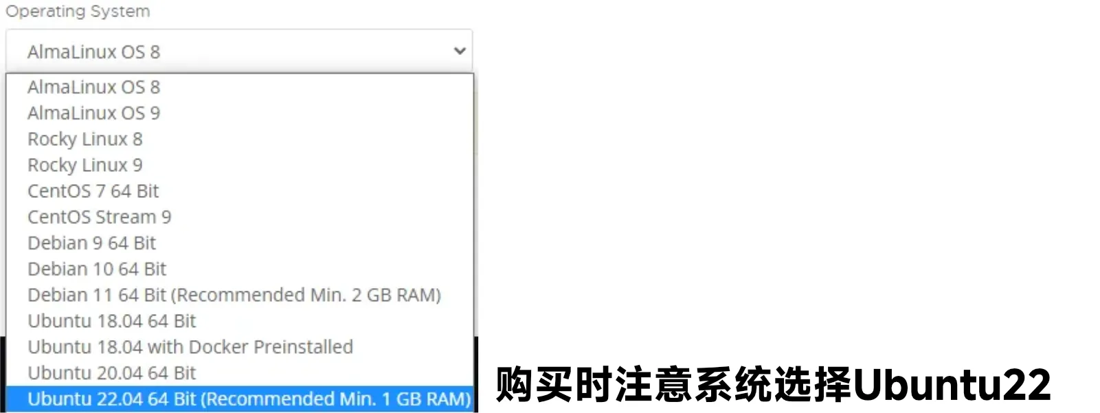 购买时注意系统选择Ubuntu22